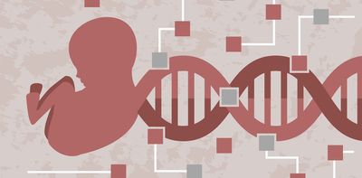 Pregnancy is a genetic battlefield – how conflicts of interest pit mom's and dad's genes against each other