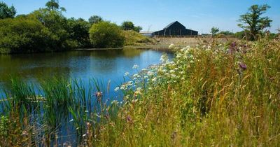West Wales farm moving off grid with funding support from Triodos Bank