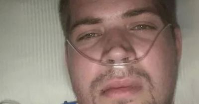 Man 'eaten alive' by mosquito bite spends four weeks in coma and has toes amputated