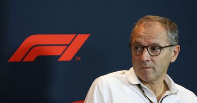 F1 chief Stefano Domenicali sets limit for number of races in a season