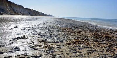 Recently found 'Neanderthal footprints' in the South of Spain could be 275,000 years old