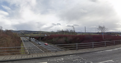 Young Edinburgh woman 'seriously assaulted' on city bypass flyover