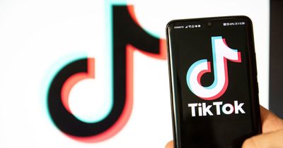 How to use TikTok's new AI filter
