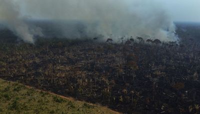 Amazon deforestation in Brazil stays near 15-year high