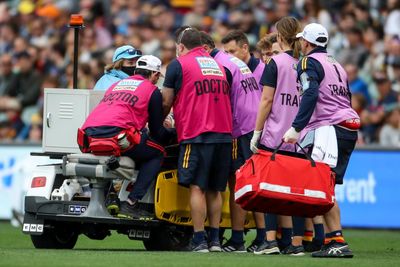 Concussion and head trauma in contact sports to be examined by parliamentary inquiry