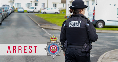 Man arrested on suspicion of assault after woman attacked with cleaning fluid in Talgarth