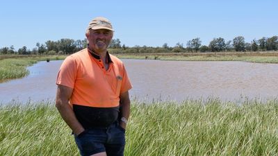 ABS finds saltmarshes sequestered 10m tonnes of carbon in 2021