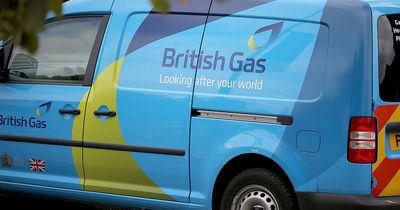 British Gas to pay customers for using less electricity during peak hours