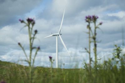 Households could pay £800m more for energy this winter because of onshore wind farm ban