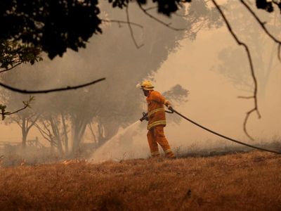 SA to monitor firebugs over summer