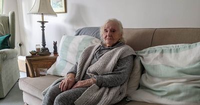 Leeds great-grandma forced to sit in 'cold, dark room' as council 'won't cut down tree'