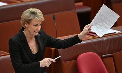 Labor’s industrial relations bill passes despite late Coalition filibuster