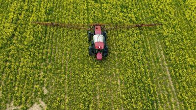 NGOs accuse France of continuing to export banned pesticides