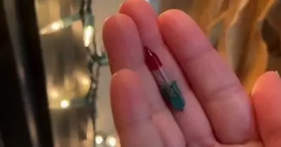 People left astounded after finding out what red Christmas light is actually for