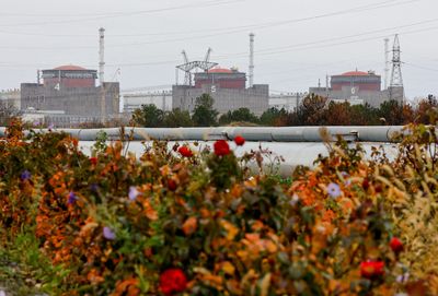 Ukraine sacks engineer accused of collaborating at occupied nuclear plant