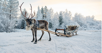 Uber is giving away free reindeer sleigh rides in Lapland