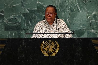 S.African foreign minister: panel report on Ramaphosa 'troubling moment'