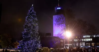 Newcastle's countdown to Christmas continues with lighting of huge Bergen tree at Civic Centre