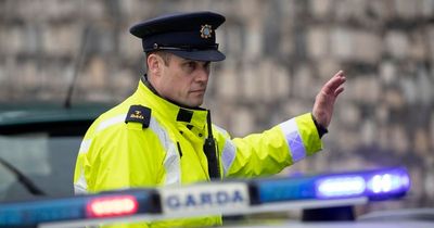 Gardaí to be out in force this Christmas with new roadside drug tests that work like antigen test