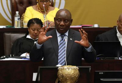 More calls for South Africa leader to quit over theft probe