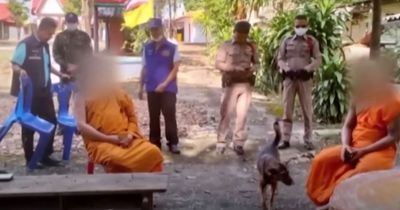 Disgraced monks forced to leave Buddhist temple after they fail drug tests