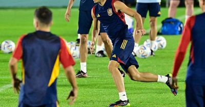 What channel is Japan vs Spain on? Kick-off time, TV and live stream details