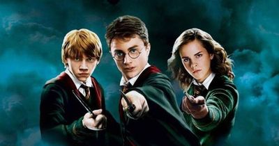 Harry Potter TV series pending as Warner Bros confirms 'passion and interest'