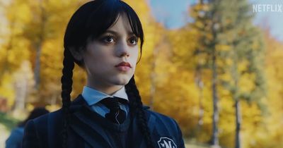 Netflix's Addams Family spin-off Wednesday attracts a record-breaking audience