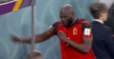 Romelu Lukaku in floods of tears and breaks dugout with single punch after horror misses