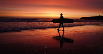 Mild autumn keeps UK on track for hottest year ever