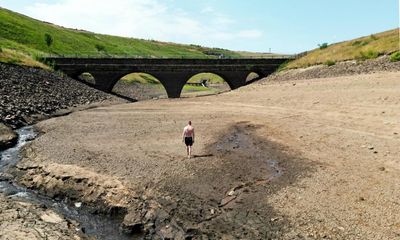 Mild November keeps UK on track for warmest year on record