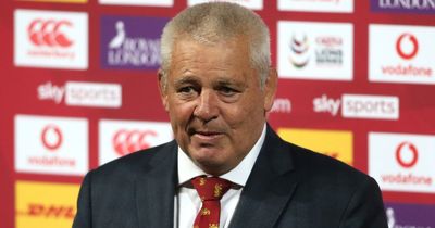 Ieuan Evans insists WRU won't be rushed into Warren Gatland decision by England 'speculation'