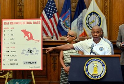 Oh rats! New York seeks 'bloodthirsty' rodent czar