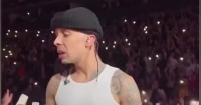 Fuming N-Dubz star Dappy tells off fan who grabs his top and pulls him back during a gig