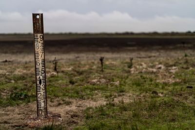 Spain pledges 350M euros to save Doñana wetlands