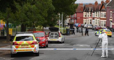 Families brawl in park as knife and barbecue fork found in bloody fall out