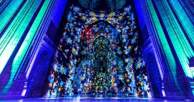 Stunning 'Light Before Christmas' display is a must see at Liverpool Cathedral