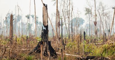 Saving the planet should come ahead of World Cup - yet no world leaders at UN meet