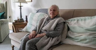 Great-grandmother, 95, forced to sit in 'cold, dark room' as council 'won't cut down tree'