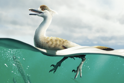 First ever duck-like dinosaur with streamlined body discovered