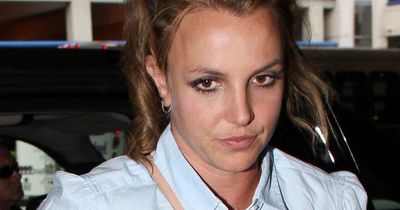 Distraught Britney Spears shaved her head after distressing news about infant sons