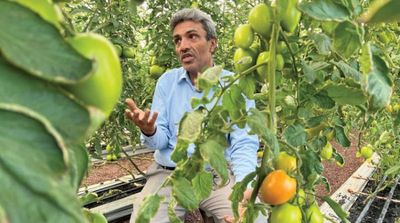 Study: Desertification to Reach 86% in Yemen due to Climate Change