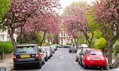 A UK tree provides hundreds of pounds of benefits a year, report finds