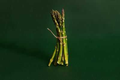 Foods that boost your immune system and help you fend off infections