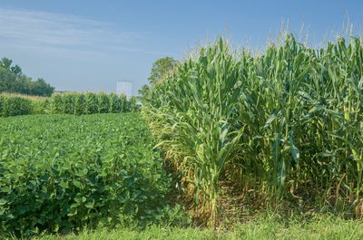 2022 Could be a Record Breaker for Kentucky's Ag Economy