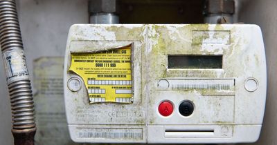 Millions of vulnerable Brits could be at risk of death - due to outdated energy meters