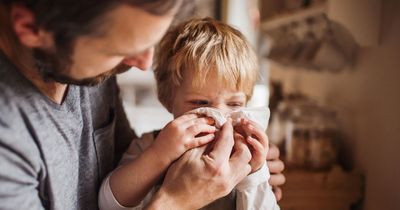 Parents warned of top Scarlet Fever symptoms as Northern Ireland reports rise in cases