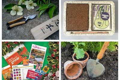 Christmas shopping: the best gifts for gardeners, from trowels to seed kits