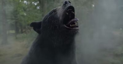 Cocaine Bear's wild trailer and ridiculous true story of animal's coke-fuelled rampage