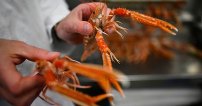 Global focus on major seafood species is heading to Grimsby